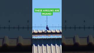 These Airguns are INSANE  Best Airguns in the world  FX Airguns  Brutally Accurate  FX Wildcat [upl. by Aliemaj]