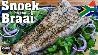 Snoek Braai Recipe  Grilled Barracouta Thyrsites atun  Snake mackerel  South African Recipes [upl. by Lai]