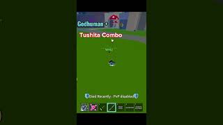 godhumantushita combo roblox [upl. by Alyce]