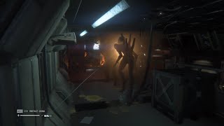 Alien Isolation  Alien vs Security Seegson epic battle [upl. by Sackey]