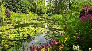 Jardins de Monet Giverny France [upl. by Hatokad]