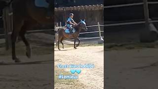 Son premier cross 🩵 horse cross crosscountry arenacross cheval pony horselover [upl. by Hamimej]