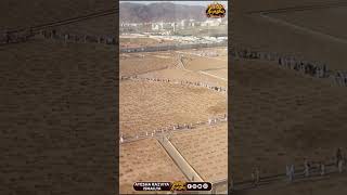 Mehsoos Kar Raha Hoon Duniya Hai Ek Dhoka khudaaurmuhabbat jannatulbaqi madinasharif shortvideo [upl. by Ardnuassak404]