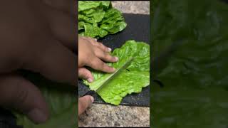 best lettuce to use For Sandwich [upl. by Biles]