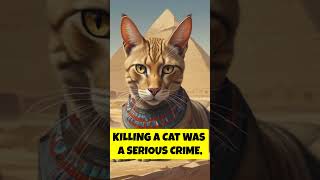 Why Ancient Egyptians Worshiped Cats cat felinehistory petlovers animals egypt [upl. by Hulen486]