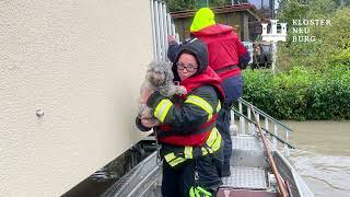 Hochwasser 2024 Klosterneuburg [upl. by Anifad]