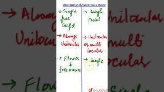 Apocarpous ovary and Syncarpous Ovary [upl. by Adirf]