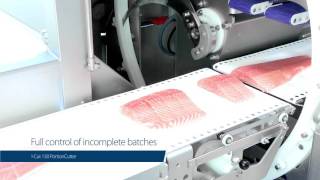 ICut 130 PortionCutter – Accurate portioning of salmon made easy [upl. by Anevad974]