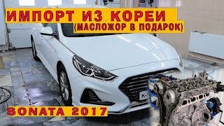 Соната из Кореи 2017 20 Масложор в подарок [upl. by Rocray]