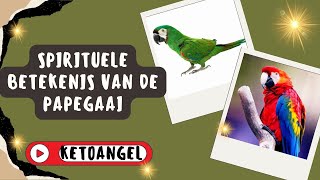 Spirituele Betekenis van de Papegaai Symboliek en Inzichten [upl. by Kepner]