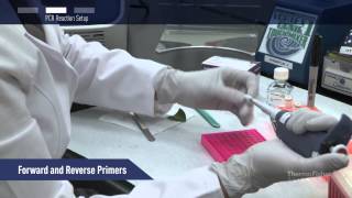 How to perform PCR directly on an unpurified sample in under 30 min [upl. by Sirmons]