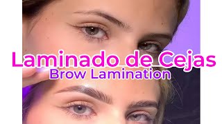 Brow Lamination  Laminado de Cejas y Tinte THUYA [upl. by Elysha]