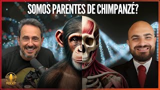 A BIOLOGIA CONFIRMA HOMENS E CHIMPANZÉS NADA A VER  DISCUTINDO CIÊNCIA com MARCOS EBERLIN [upl. by Yasmine543]