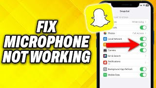 How To Fix Microphone Not Working on Snapchat 2024 [upl. by Brigette]