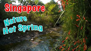 Singapore Nature Hot Spring  Sembawang Hot Spring Park [upl. by Ursas515]