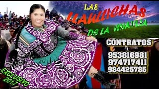 LLAULLICHAS DE LA HUAYLIA PRIMICIA 2017 4Cervesita NegraDVD [upl. by Jensen]