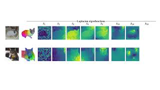 ECCV 2024ZeroShot Image Feature Consensus with Deep Functional Maps [upl. by Tedmann837]