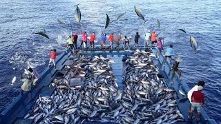 Unbelievable With Just a Fishing Rod Fishermen Catch Hundreds of Tons Tuna on The Boat [upl. by Elleval]