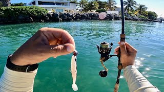 Florida Keys Dock Fishing  Didn’t See This Coming Catch Clean Cook [upl. by Natam]