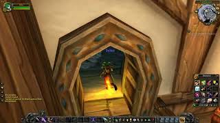 343 WoTLK Classic Private Server Auction House [upl. by Giannini253]