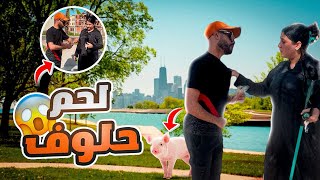 كول لحم لحلوف و ربح 10000 درهم 🐖 [upl. by Fortna]