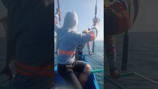 Fish Unlock Amberjack fishing fishingadventure [upl. by Losse]