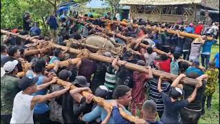 Tradición de la cultura Bribri todos los años en Septiembre en Talamanca [upl. by Harelda]