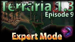 Terraria 13 Expert Mode  Episode 9  My Luck Is Back [upl. by Bracci]