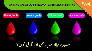 Other Respiratory pigments  Hemocyanin Chlorocruorin Hemerythrin in UrduHindi  ZEESHAN BIOLOGY [upl. by Adnilra600]