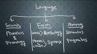 SEMANTICS1 What is Semantics [upl. by Adiehsar]