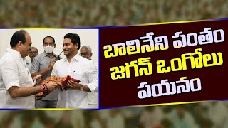 బాలినేని పంతంహుటాహుటిన ఒంగోలుకు జగన్ పయనం CM Jagan To Distribute House Sites For Poor At Ongole [upl. by Hatnamas531]