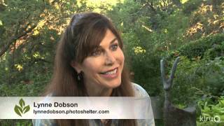 Shade garden retreat Lynne Dobson Central Texas Gardener [upl. by Letnom541]