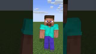 WHAT THE FRICK WAS THAT minecraft memes funnyshorts fyp [upl. by Eynttirb636]