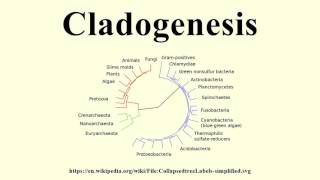 Cladogenesis [upl. by Barnabe]