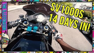 Suzuki SV1000 First impressions [upl. by Assert948]