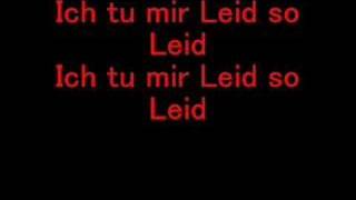 Leider  Eisbrecher Lyrics Video [upl. by Pasahow]