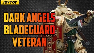 Dark Angels Bladeguard Veteran Secrets Revealed [upl. by Aryn401]