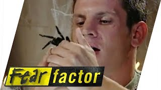 Tarantula in Mouth  Fear Factor Extra [upl. by Kentigera]