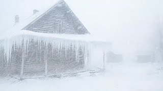 Winter Sounds for Relaxing and Studying at Home  Snowstorm Sounds  White Noise for Sleep [upl. by Nolyarb]