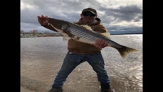 Miramichi Striper Cup Bass Tournament 2019 [upl. by Bowes]