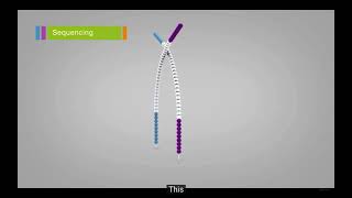 Bioinformatics Lecture 4 Sequencing Technology Lecture Part 2 [upl. by Eitnom647]