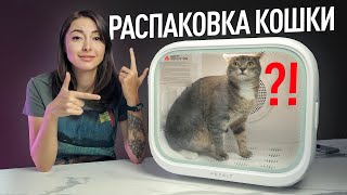 Топ гаджетов для кошек и собак автоматический лоток PETKIT PURA MAX сушка AIRSALON MAX и др [upl. by Eiramanig]