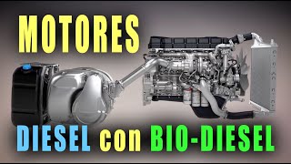 Programa especial Motores DIESEL con BIODIESEL Lo que hay que saber [upl. by Rednas353]