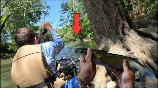 Fishing for Catfish on Elkhorn Creek Kentucky Kayak Fishing [upl. by Annaya]