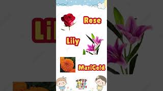 Learn Flower Names with Catchy Song for Kids on YouTube Shorts [upl. by Broida476]