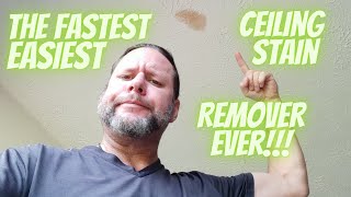 Fastest Easiest Ceiling Stain Removal Technique Ever  No Mess [upl. by Jump341]