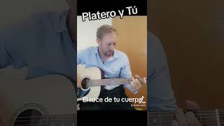 El roce de tu cuerpo  Platero y Tú lento foryou fito platero cover rockespañol guitarra [upl. by Nive]