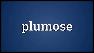 Plumose meaning [upl. by Adnorahc]