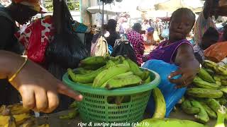 Experience The Exciting Cost Of Foodstuffs In The Market [upl. by Hayse]