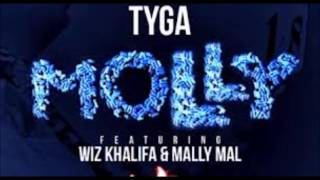 Molly Clean Tyga Ft Wiz Khalifa amp Mally Mall [upl. by Wiebmer]